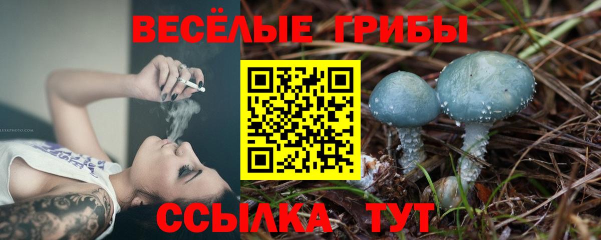 Галлюциногенные грибы мухоморы  Галлюциногенные грибы Cubensis  Вход с VPN  Златоуст 